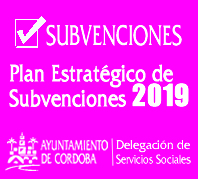 Plan Estratégico de Subvenciones 2019
