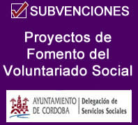 proyectos voluntariado social