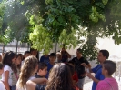 Escuela de Verano Fuensanta 2013_26